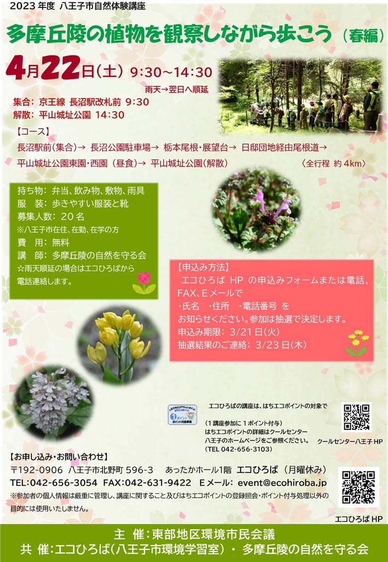 案内画像