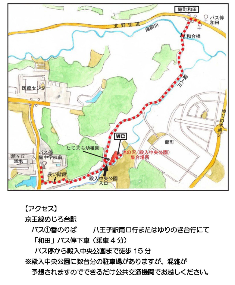 自然体験講座「里山探検隊」画像2枚目（2023年9月18日実施）