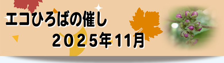 エコひろば2025年11月の催しリンク