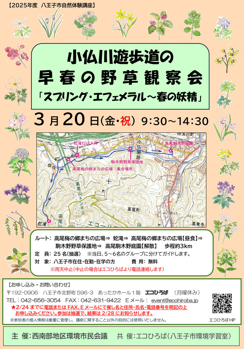 小仏川遊歩道の早春の野草観察会-2026年3月20日ご案内