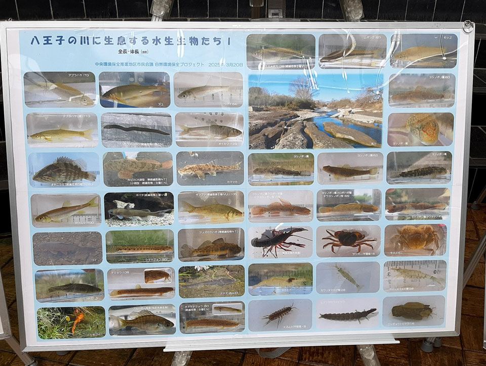 パネル展様子4