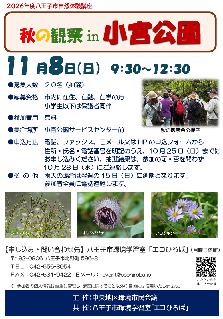 秋の観察in小宮公園-2026年11月8日（日）ご案内イメージ